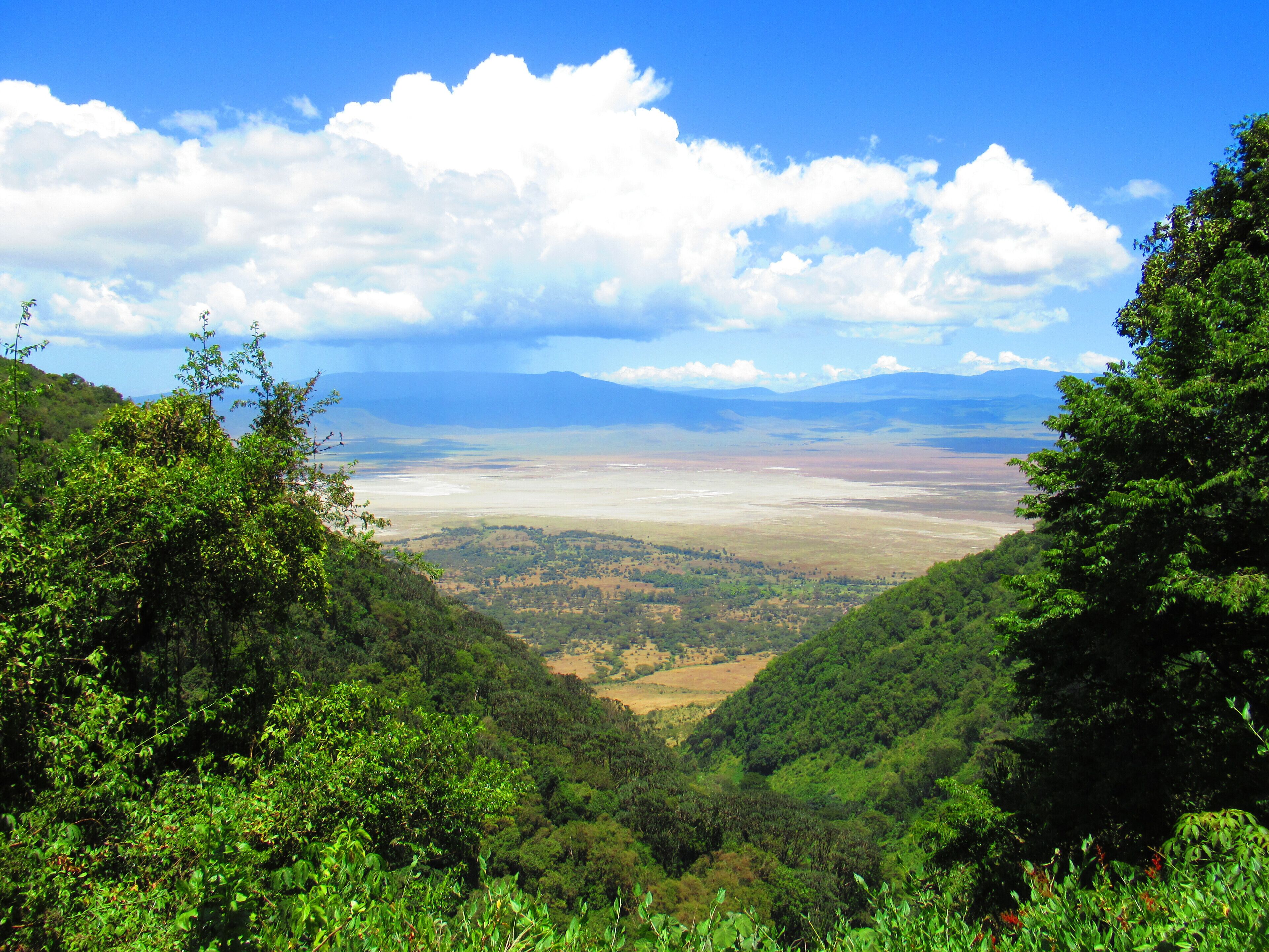 Ngorongoro Crater Day Safari