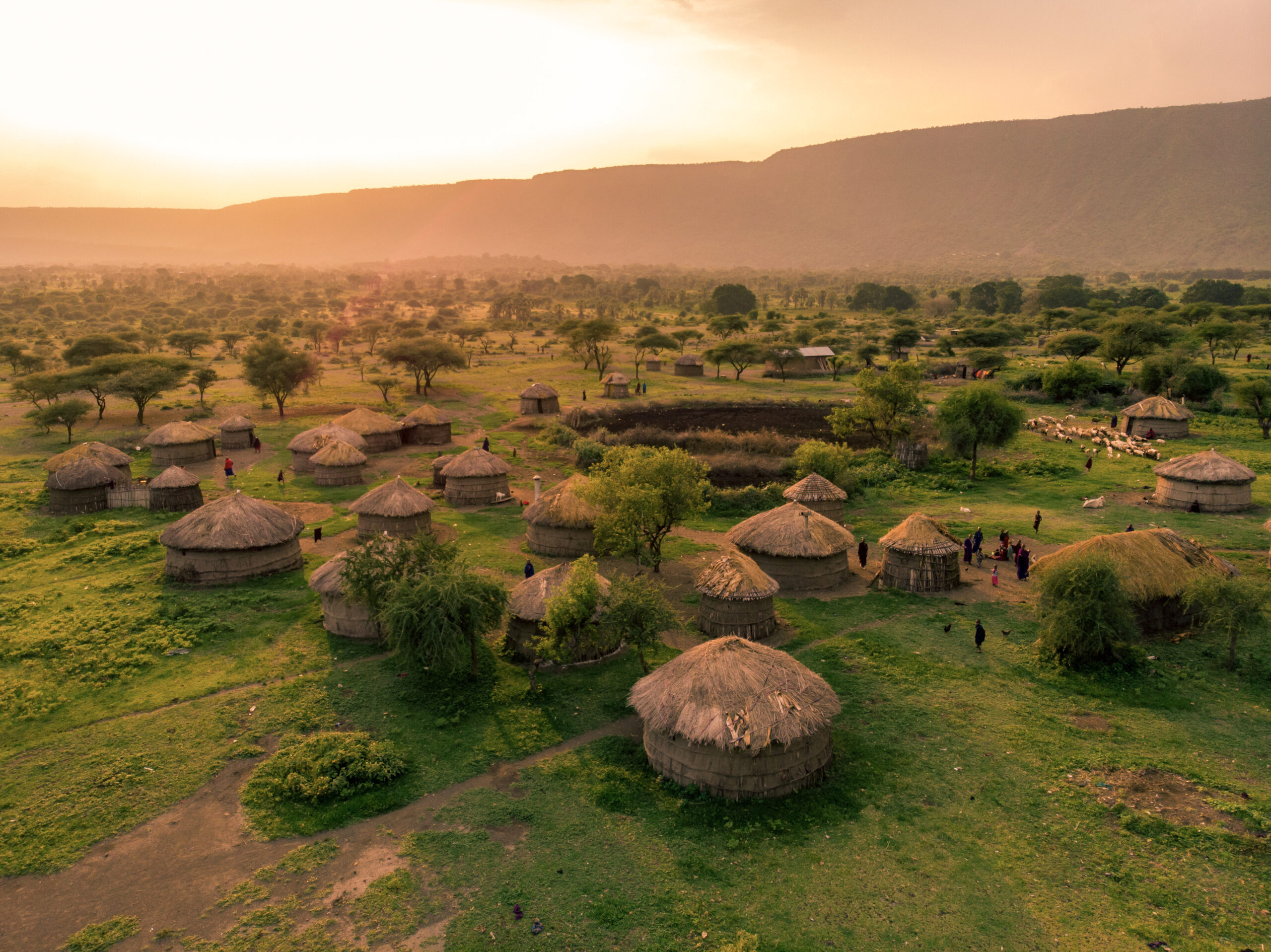 Maasai Village Cultural Experience