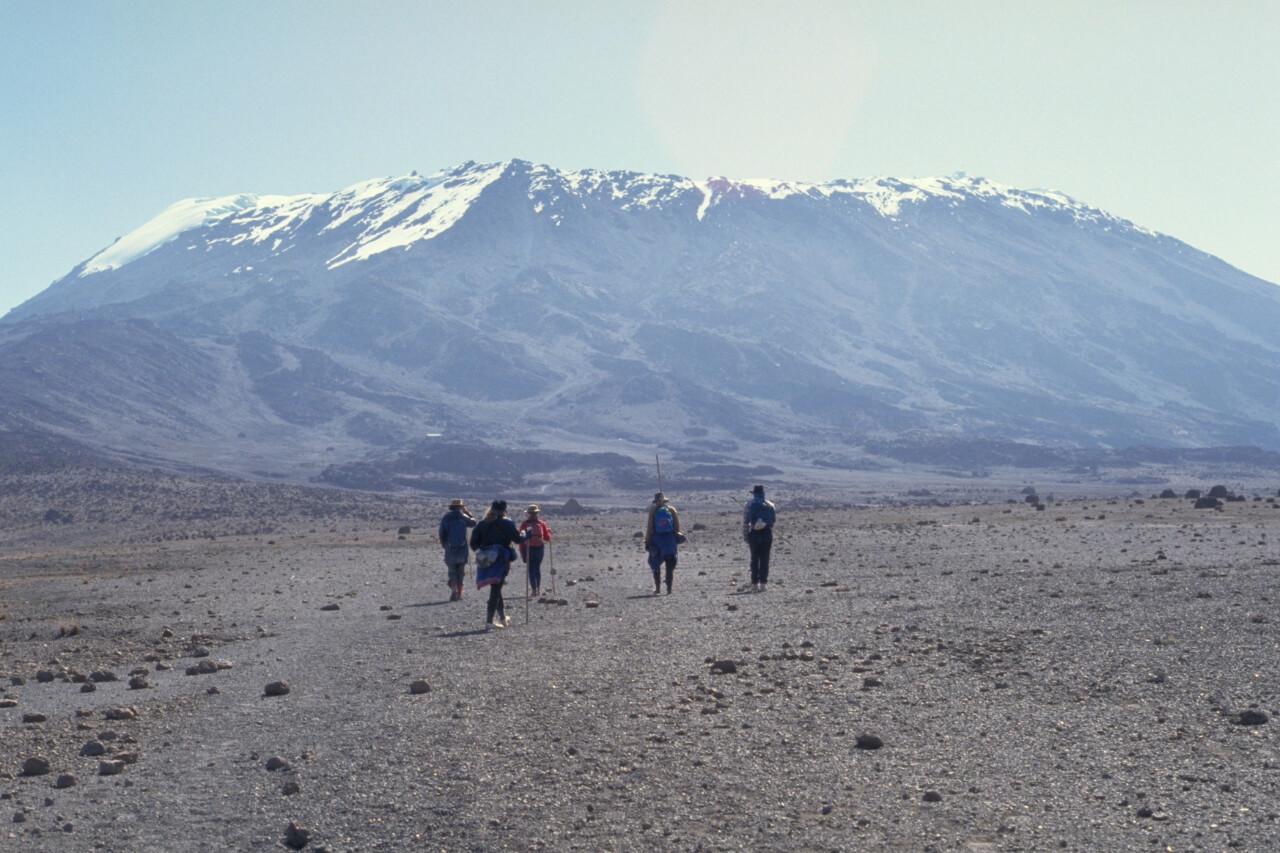 Lemosho Day Hike - Shira Plateau Taster